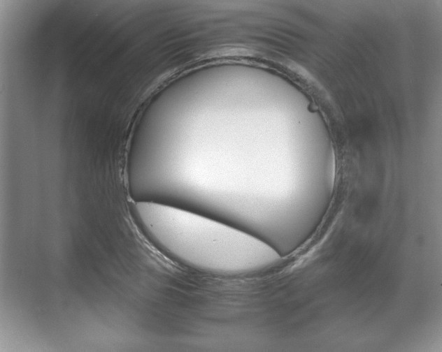 X0000071900929200607070915