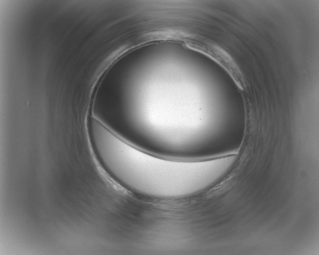 X0000071900946200607070916