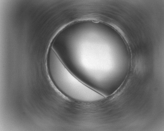 X0000071900949200607070916
