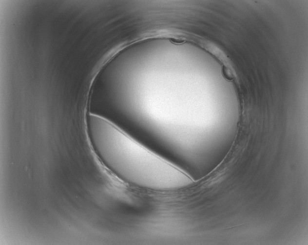 X0000071900954200607070916