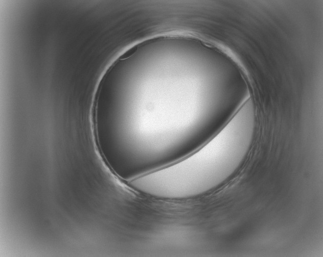 X0000071900959200607070916