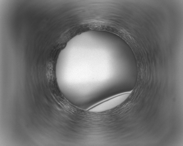 X0000071900964200607070915