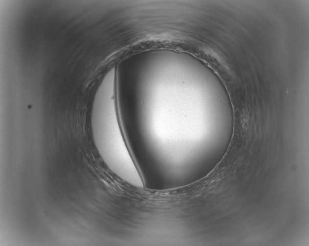 X0000071900968200607070915