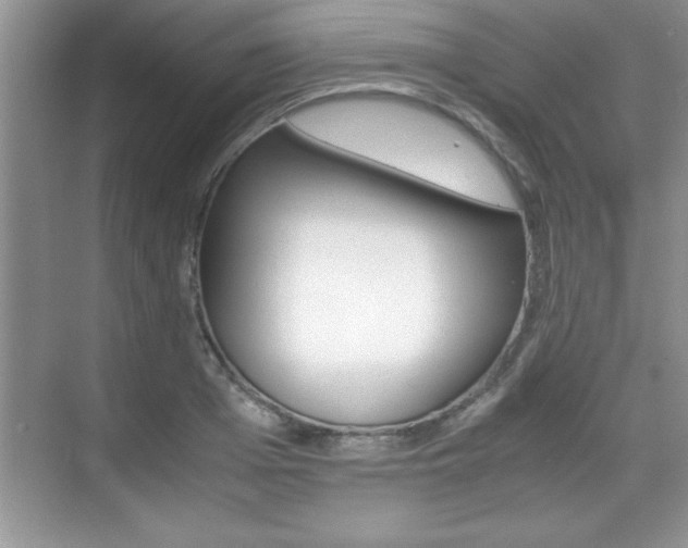 X0000071900985200607070915