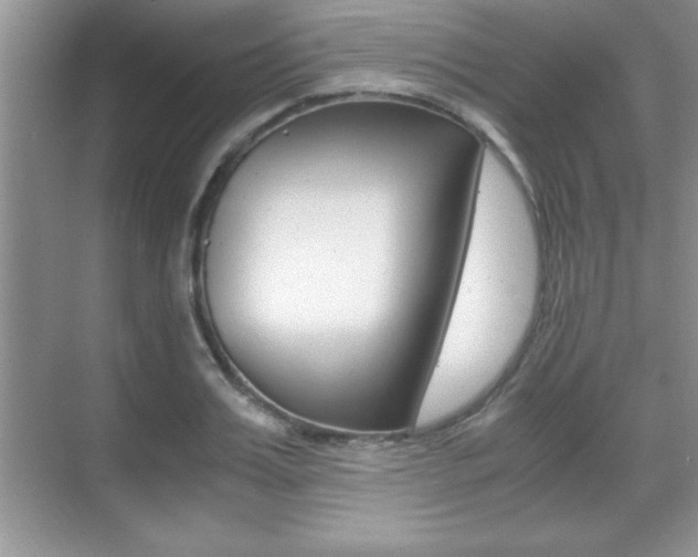 X0000071900987200607070915
