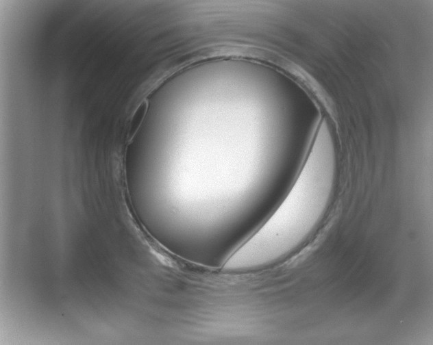 X0000071900993200607070915