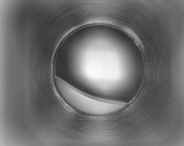 X0000071900996200607070914