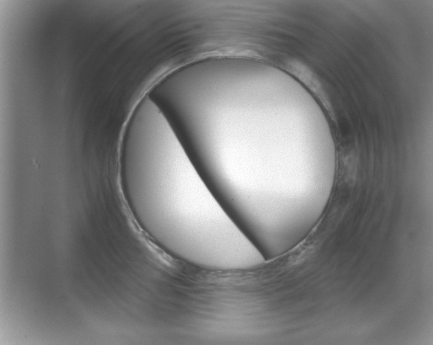 X0000071901002200607070914