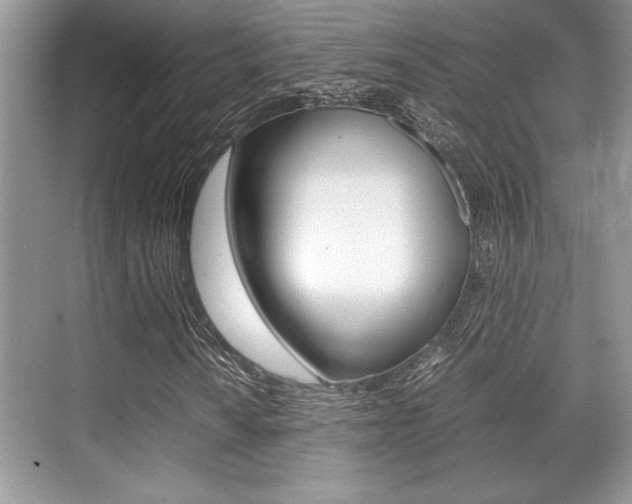 X0000071901010200607070913