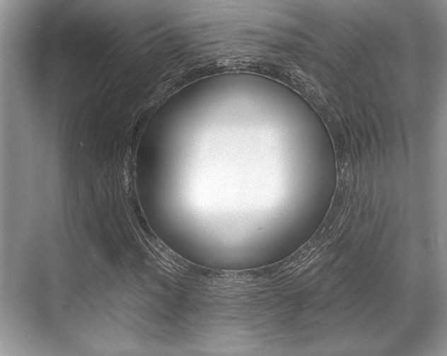 X0000071901012200607070914