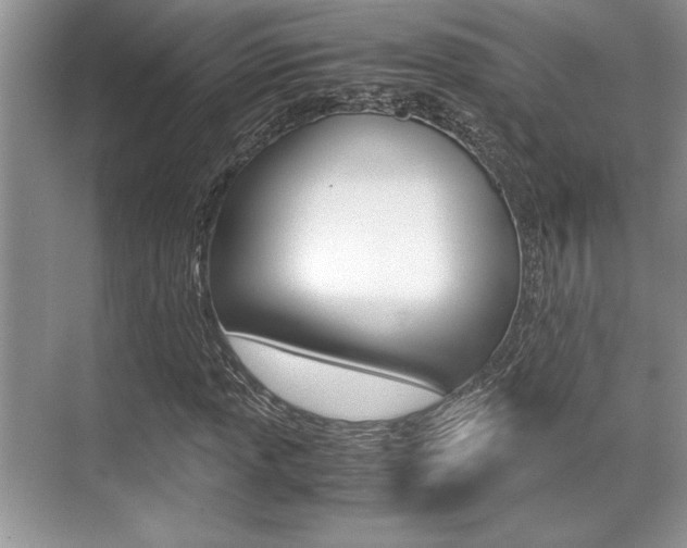 X0000071901013200607070914