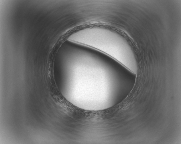 X0000071901016200607070914