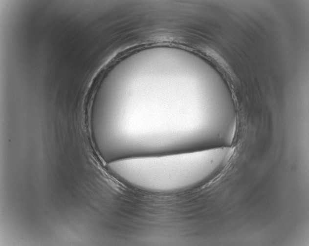 X0000071901023200607070914