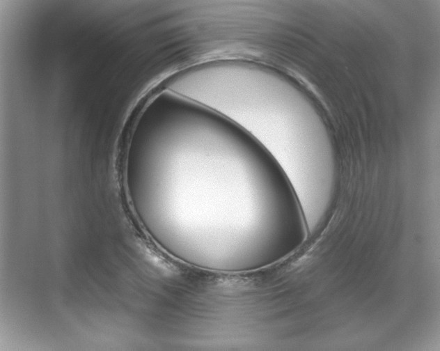 X0000071901026200607070914