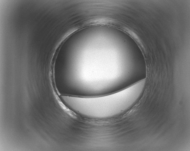 X0000071901042200607070914
