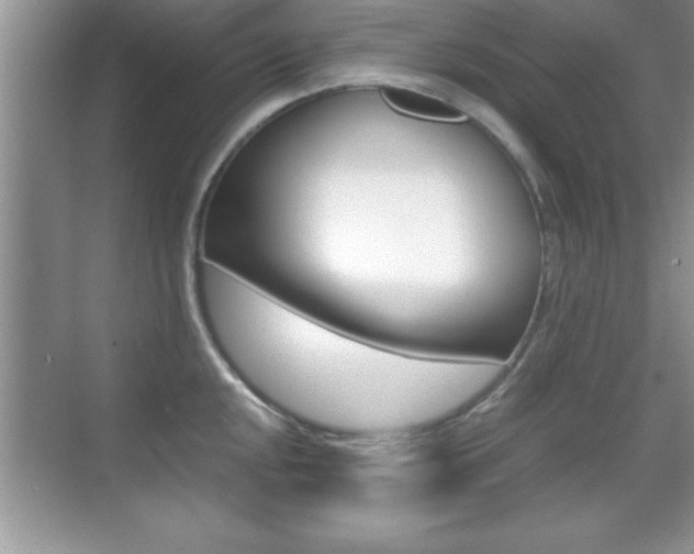 X0000071901048200607070914