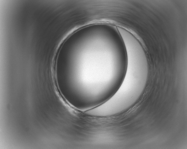 X0000071901054200607070914