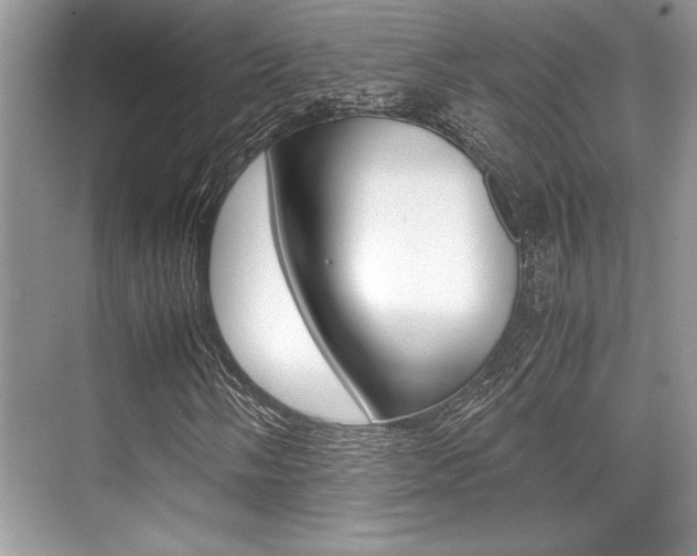 X0000071901058200607070913