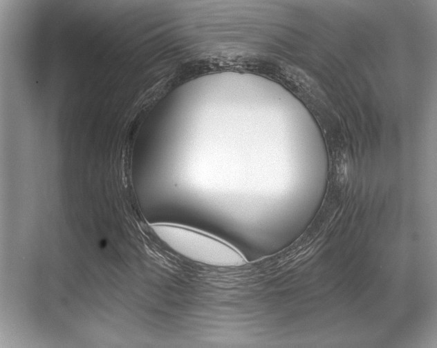 X0000071901060200607070913