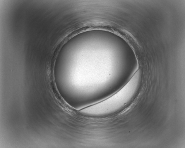 X0000071901065200607070913