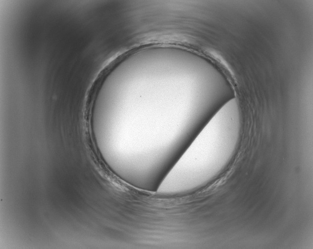 X0000071901071200607070913
