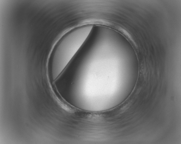 X0000071901082200607070913