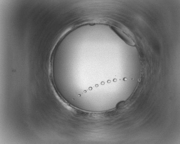 X0000071901095200607070913