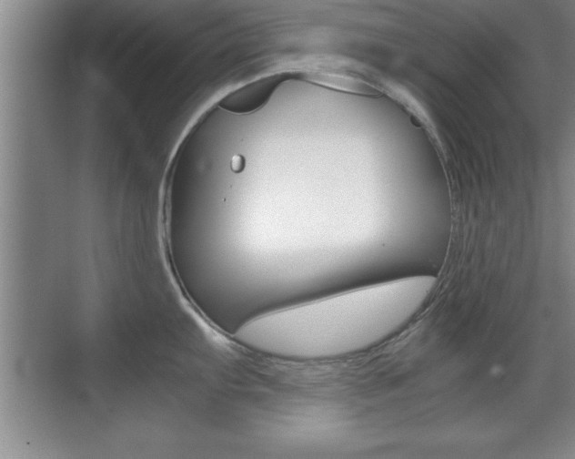X0000071901103200607070913
