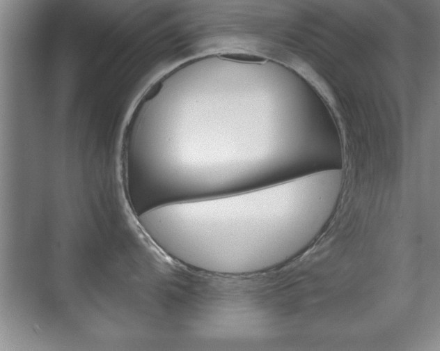 X0000071901104200607070913