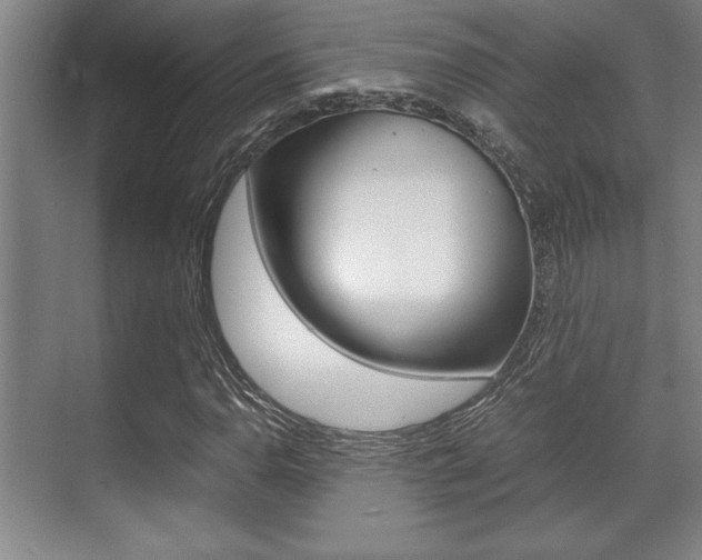 X0000071901110200607070912