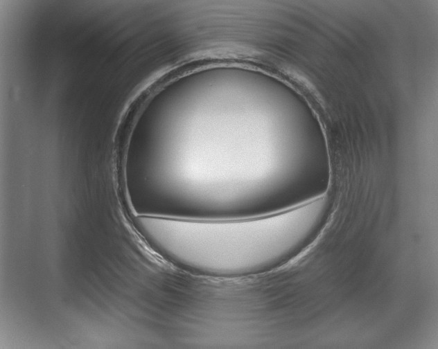 X0000071901114200607070912