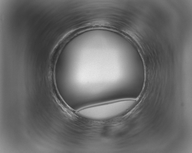 X0000071901115200607070912