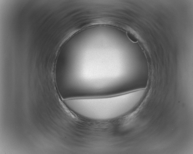 X0000071901137200607070912