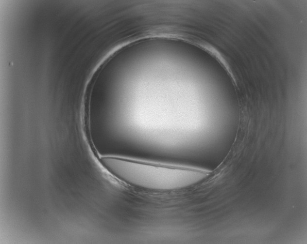 X0000071901147200607070913
