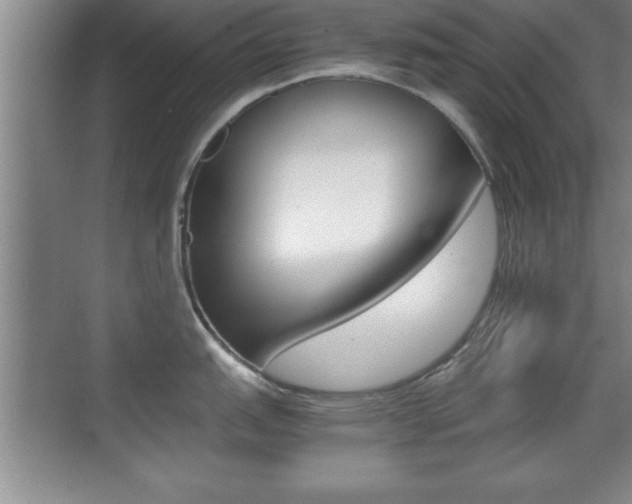 X0000071901151200607070913