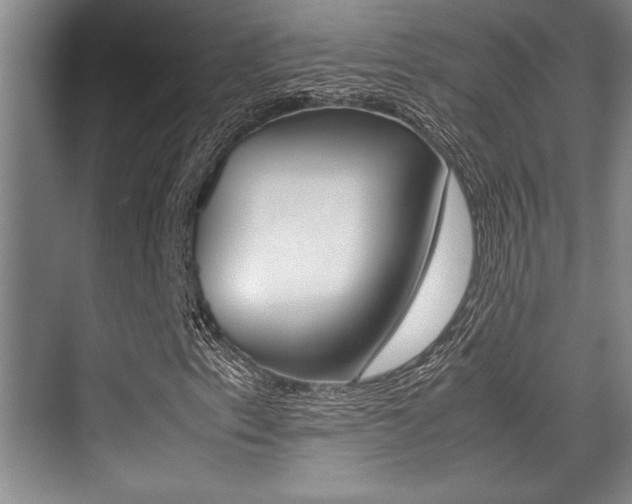 X0000071901153200607070912