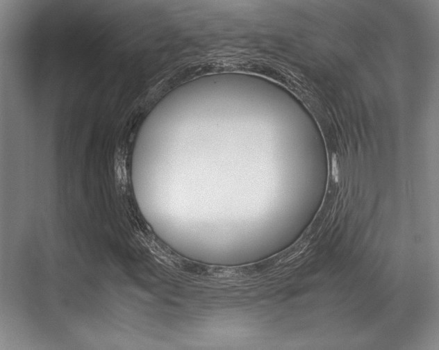X0000071901155200607070912