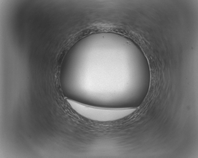 X0000071901157200607070912