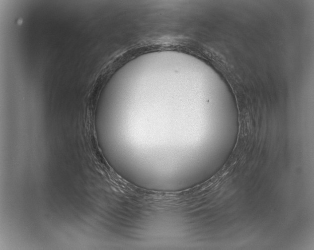 X0000071901158200607070912