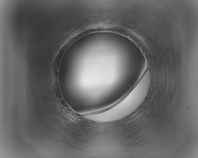 X0000071901160200607070912