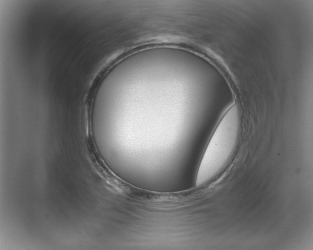 X0000071901171200607070912