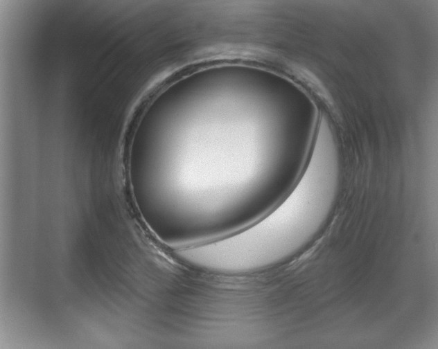 X0000071901172200607070912
