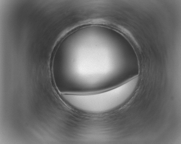 X0000071901176200607070911