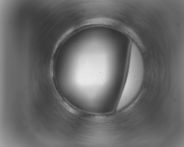 X0000071901180200607070911