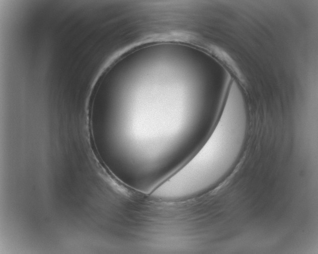 X0000071901184200607070911