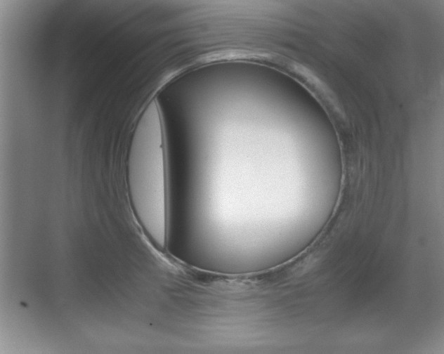 X0000071901185200607070911