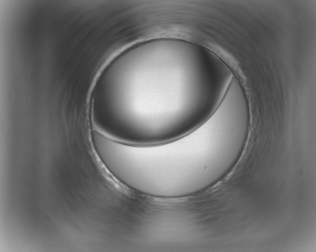X0000071901200200607070911