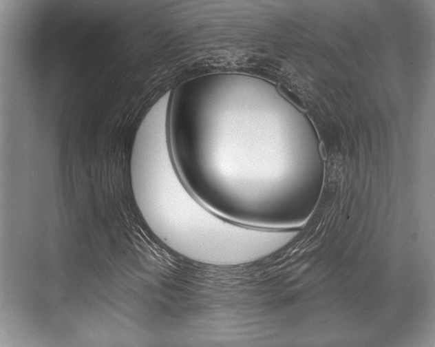 X0000071901202200607070910