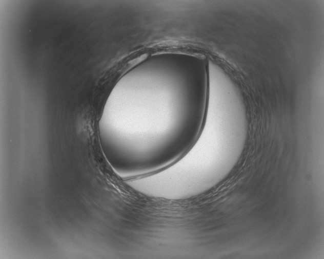 X0000071901206200607070910