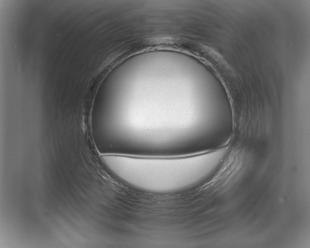X0000071901209200607070910